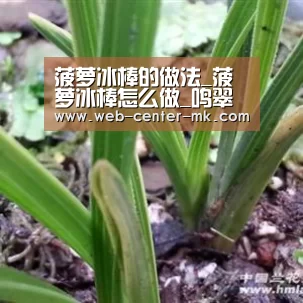 菠萝冰棒的做法_菠萝冰棒怎么做_鸣翠燕的菜谱|mk体育官网(图2) mk体育