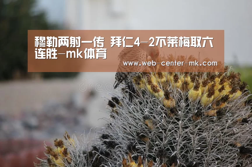 穆勒两射一传 拜仁4-2不莱梅取六连胜-mk体育(图2) mk体育官网