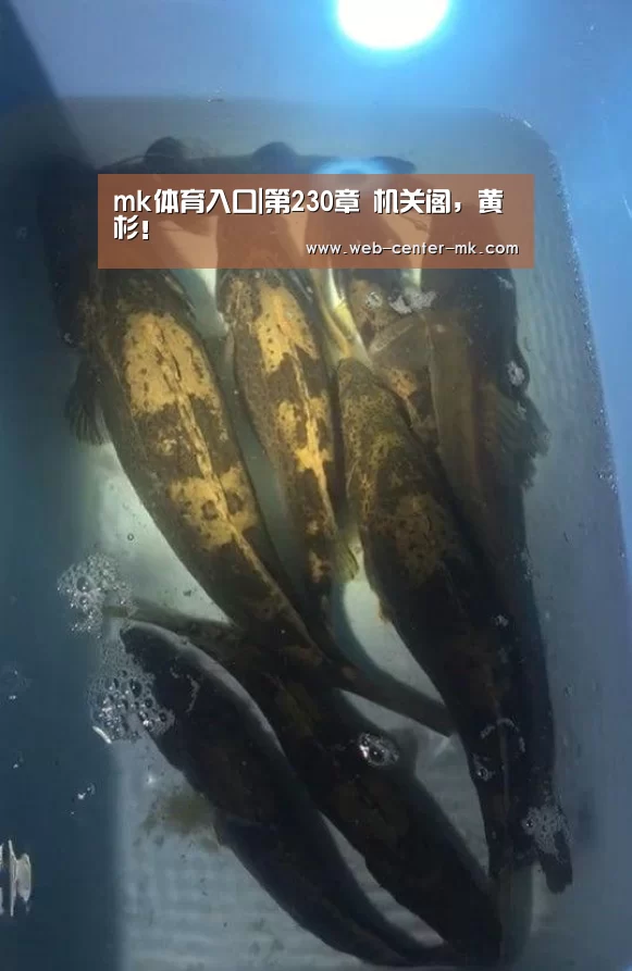 mk体育入口|第230章 机关阁,黄杉!(图3) mk体育