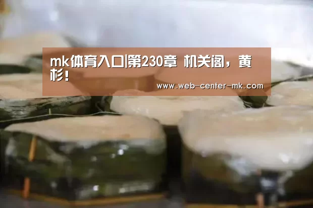 mk体育入口|第230章 机关阁,黄杉!(图2) mk体育官网