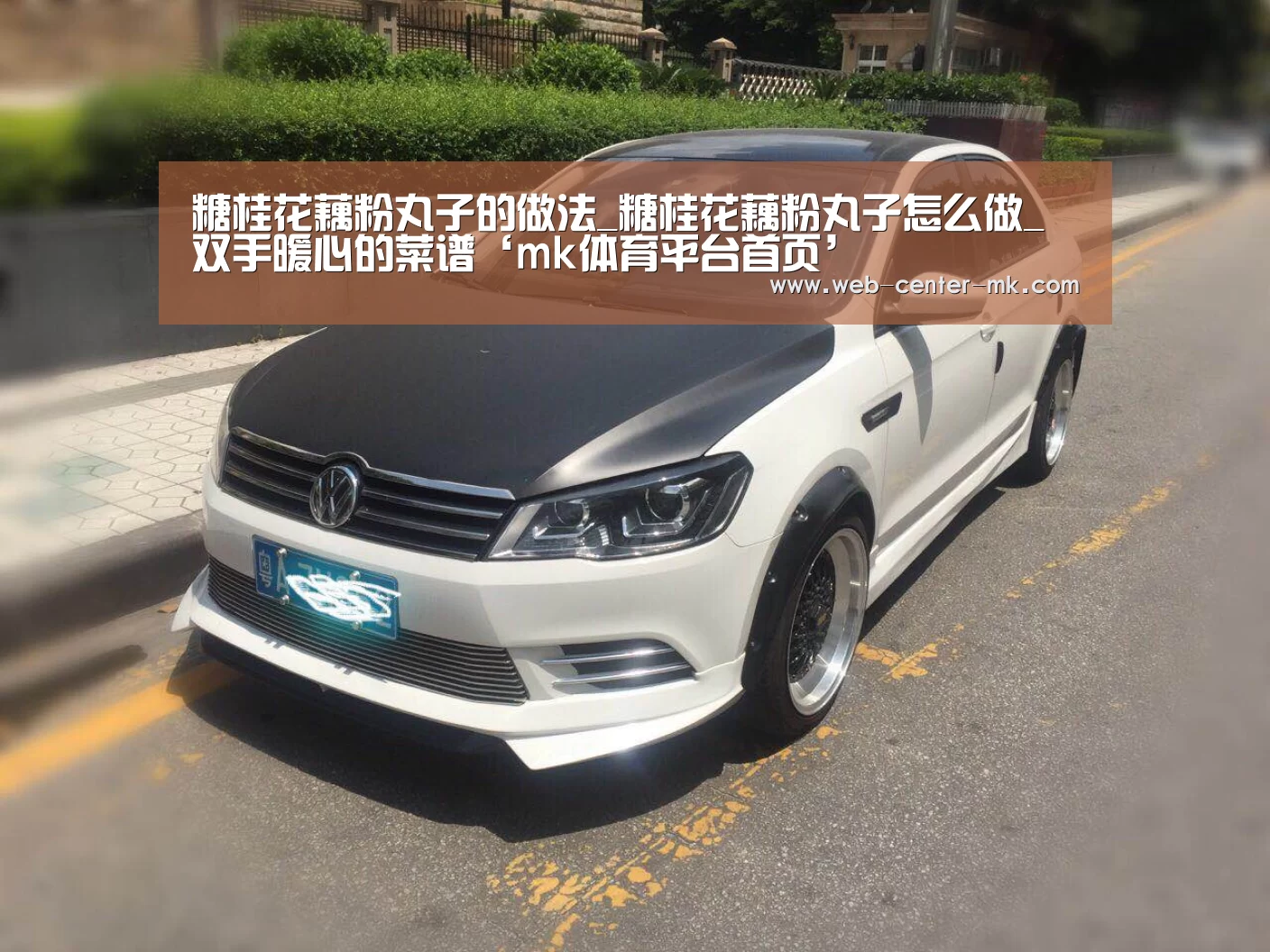糖桂花藕粉丸子的做法_糖桂花藕粉丸子怎么做_双手暖心的菜谱‘mk体育平台首页’(图3) mk体育入口