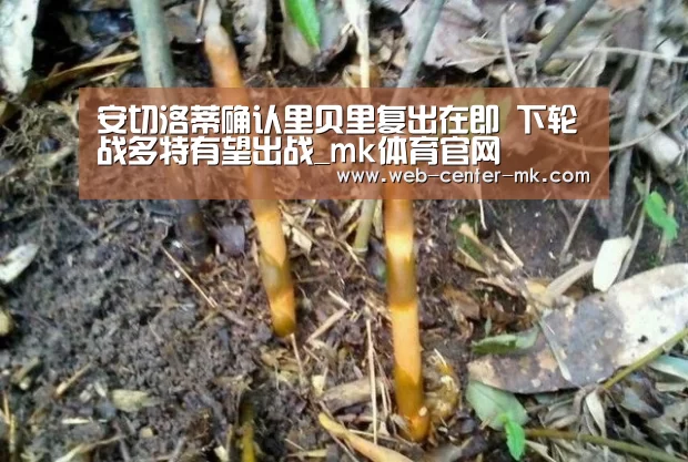 安切洛蒂确认里贝里复出在即 下轮战多特有望出战_mk体育官网(图1) mk体育官网