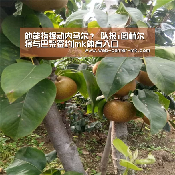 他能指挥动内马尔? 队报:图赫尔将与巴黎签约|mk体育入口(图2) mk体育入口